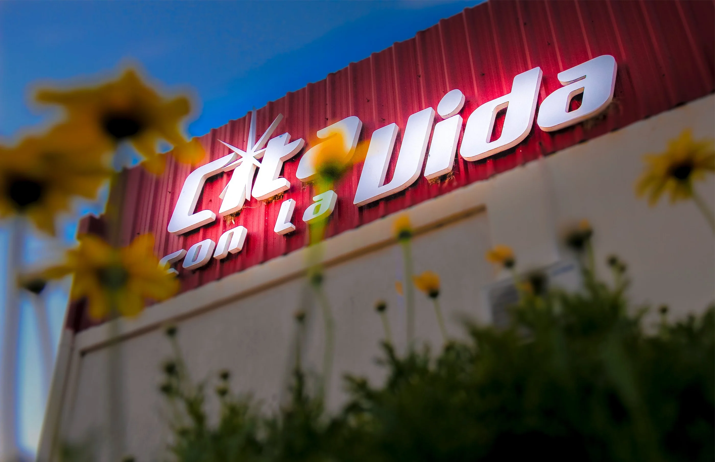 imagen institucional